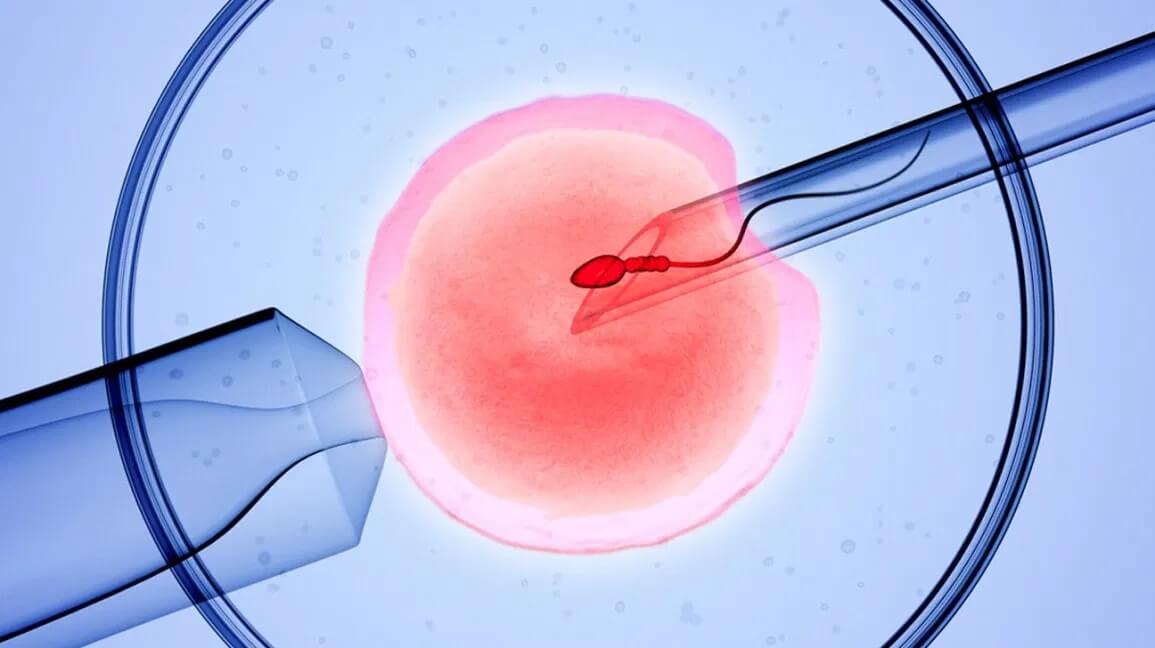 in_vitro-header-2
