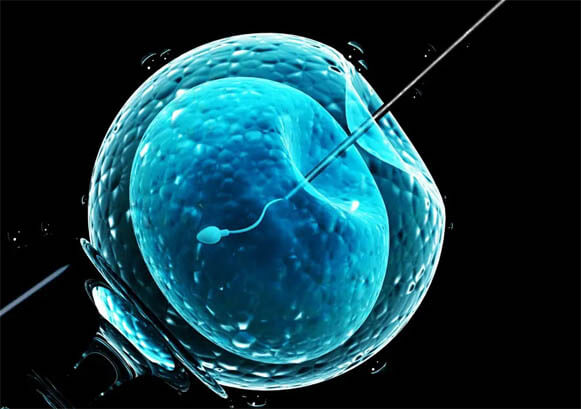 ivf-treatment22-2