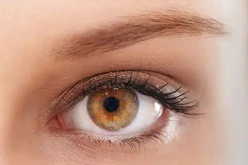 corneal-transplant-surgery-1