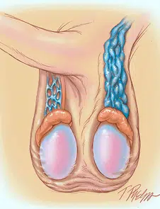 12c322_a65454c57deb46afa1894e97c58175d8-png_srz_p_226_295_75_22_0-50_1-20_0-2