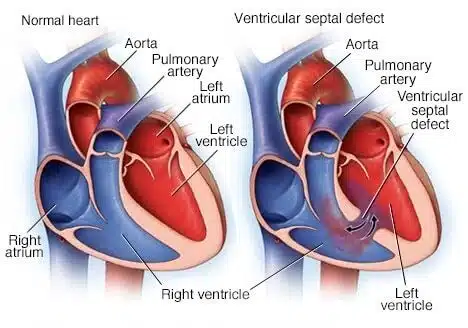5b83f73e44a865323354a6a0c52eda392-2