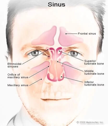 sinus_1-2