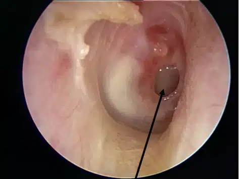 47cc33582b4f487c1004ea41a1d85499-2