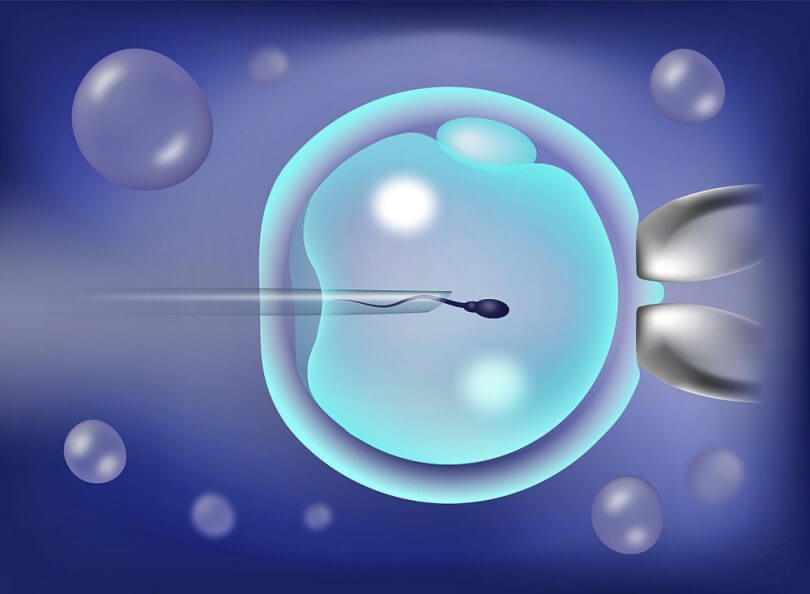 icsi-810x594