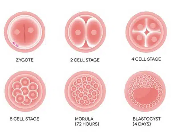 1-oacqiv3v8dhhsuxjhy05ma
