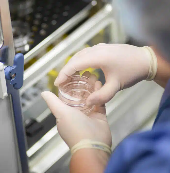 21141-dd-105_lowrescrop22