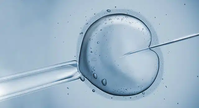 IVF2 640