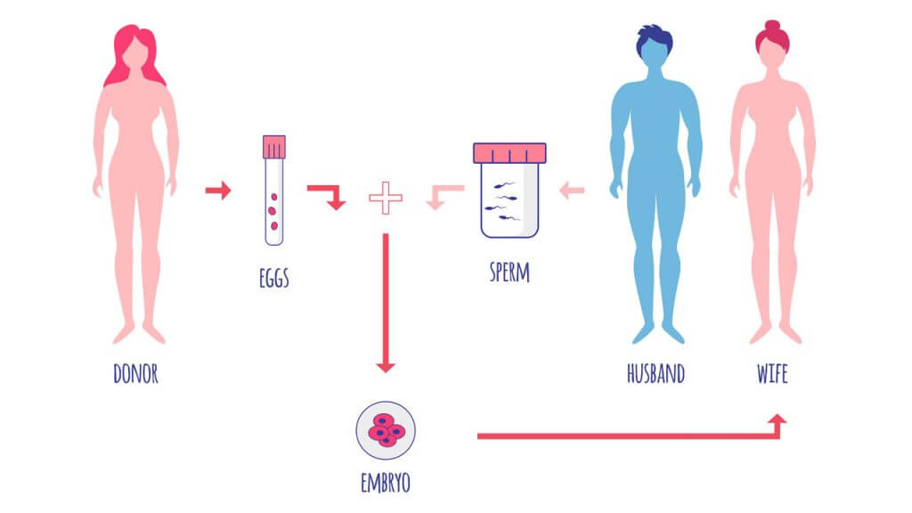 egg-donation-1024x576