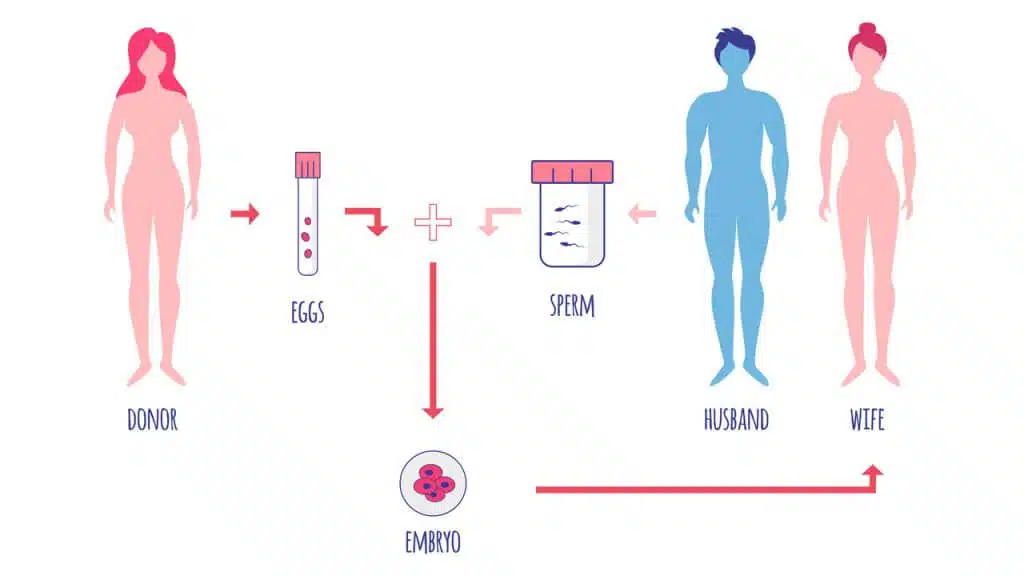 egg-donation-1024x576