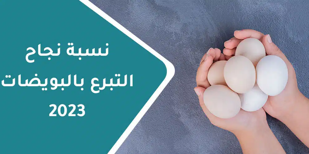 نسبة نجاح التبرع بالبويضات