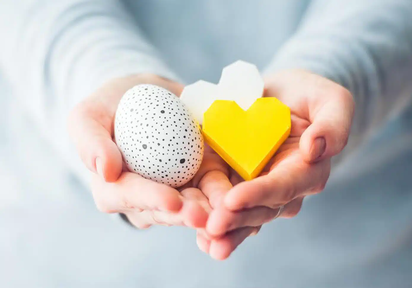 %d8%aa%d8%ae%d9%85%da%a9-%d8%a7%d9%87%d8%af%d8%a7%db%8c%db%8c