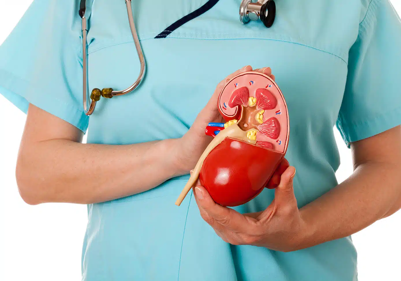 %d8%b2%d8%b1%d8%a7%d8%b9%d8%a9-%d8%a7%d9%84%da%a9%d9%84%db%8c%d8%a911