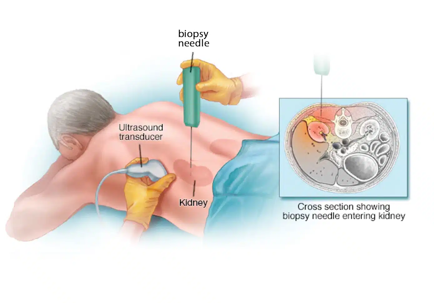 %d9%be%db%8c%d9%88%d9%86%d8%af-%da%a9%d9%84%db%8c%d9%8729