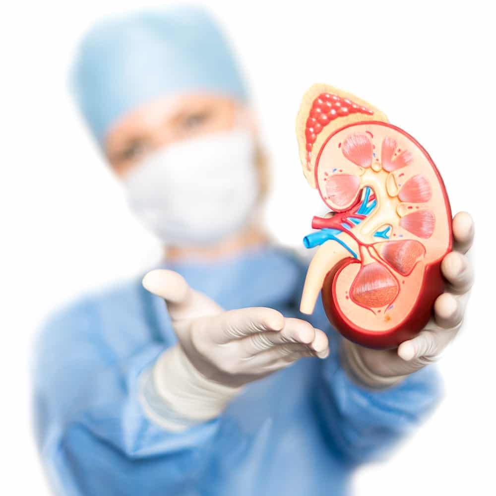 14001004-kidney-xplant-female-provider-1x1jpg