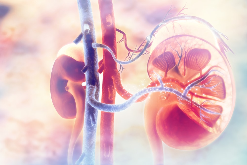 kidney-transplants-banner-bg