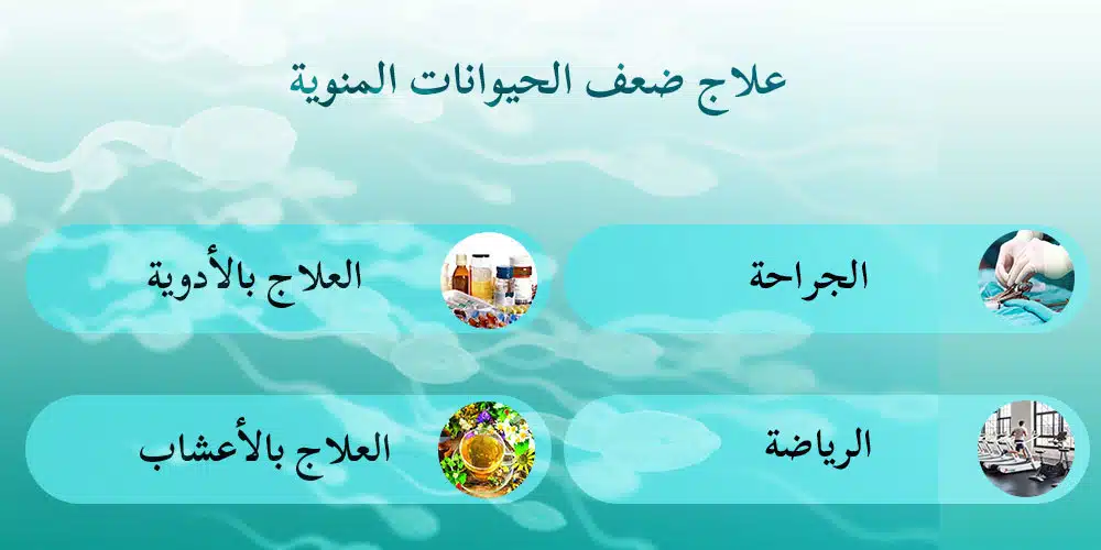 علاج ضعف الحيوانات عند الرجال