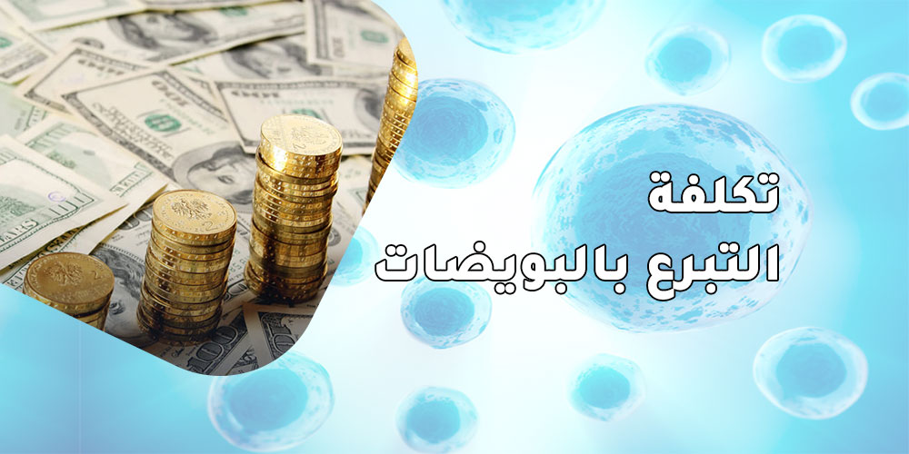 تكلفة-التبرع-بالبويضات