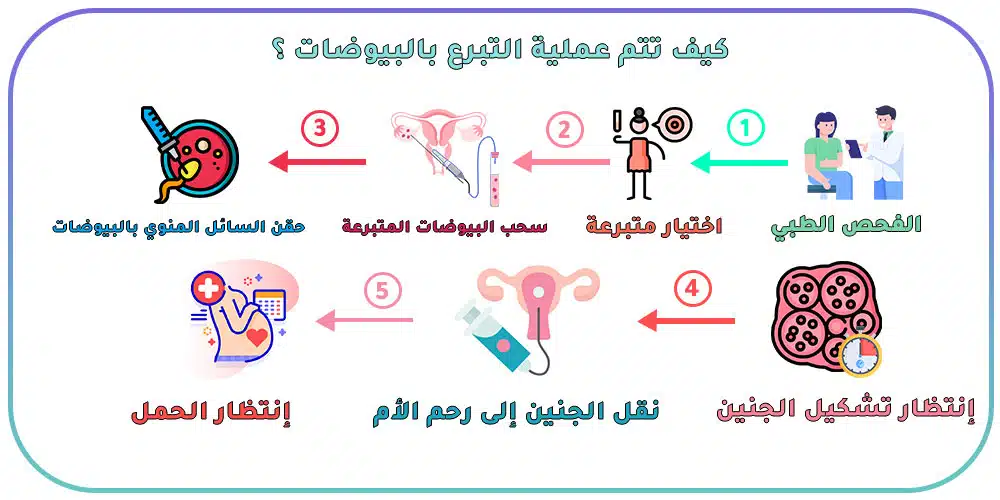 مراحل عملية التبرع بالبويضات