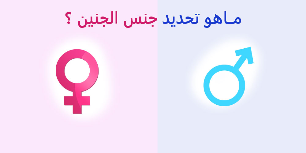 ما هو تحديد جنس الجنين