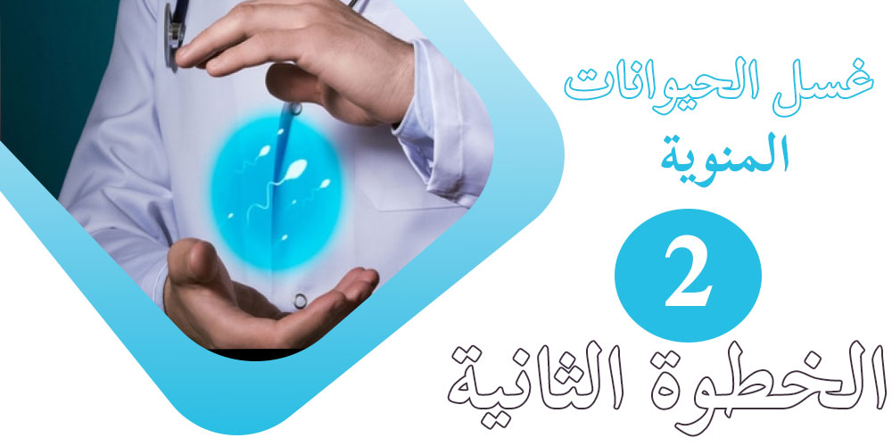 التلقيح الصناعي بالصور الخطوة الثانية غسل الحيوانات المنوية