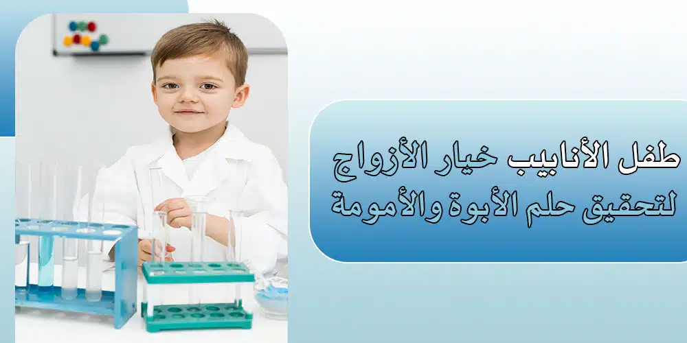 20240901 031217 article FB6oj