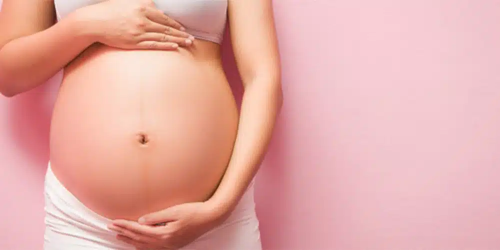 20240901 032745 article