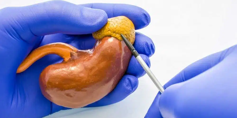 20240907 033809 article Ag7jL