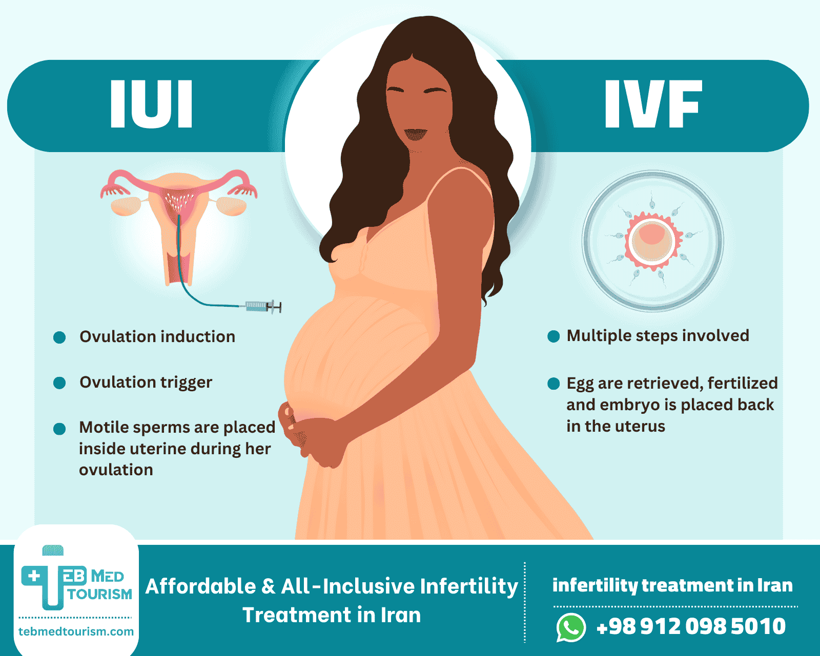 iui vs ivf