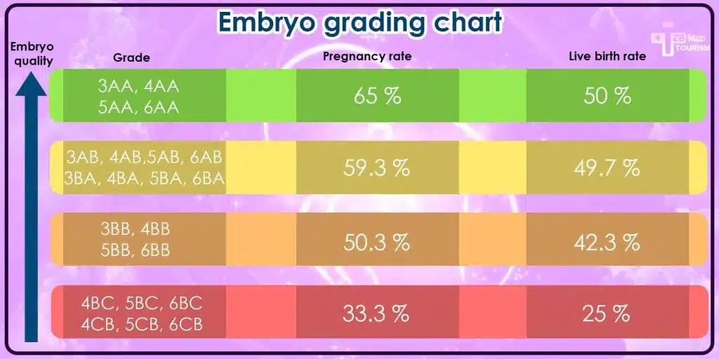 Embryo grading is explained as the process of evaluating the quality and developmental stage of embryos created during IVF treatment.