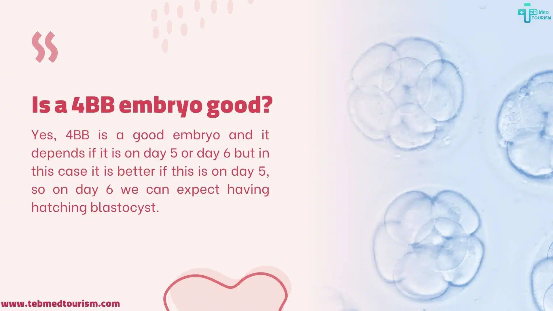 is a 4bb embryo good?