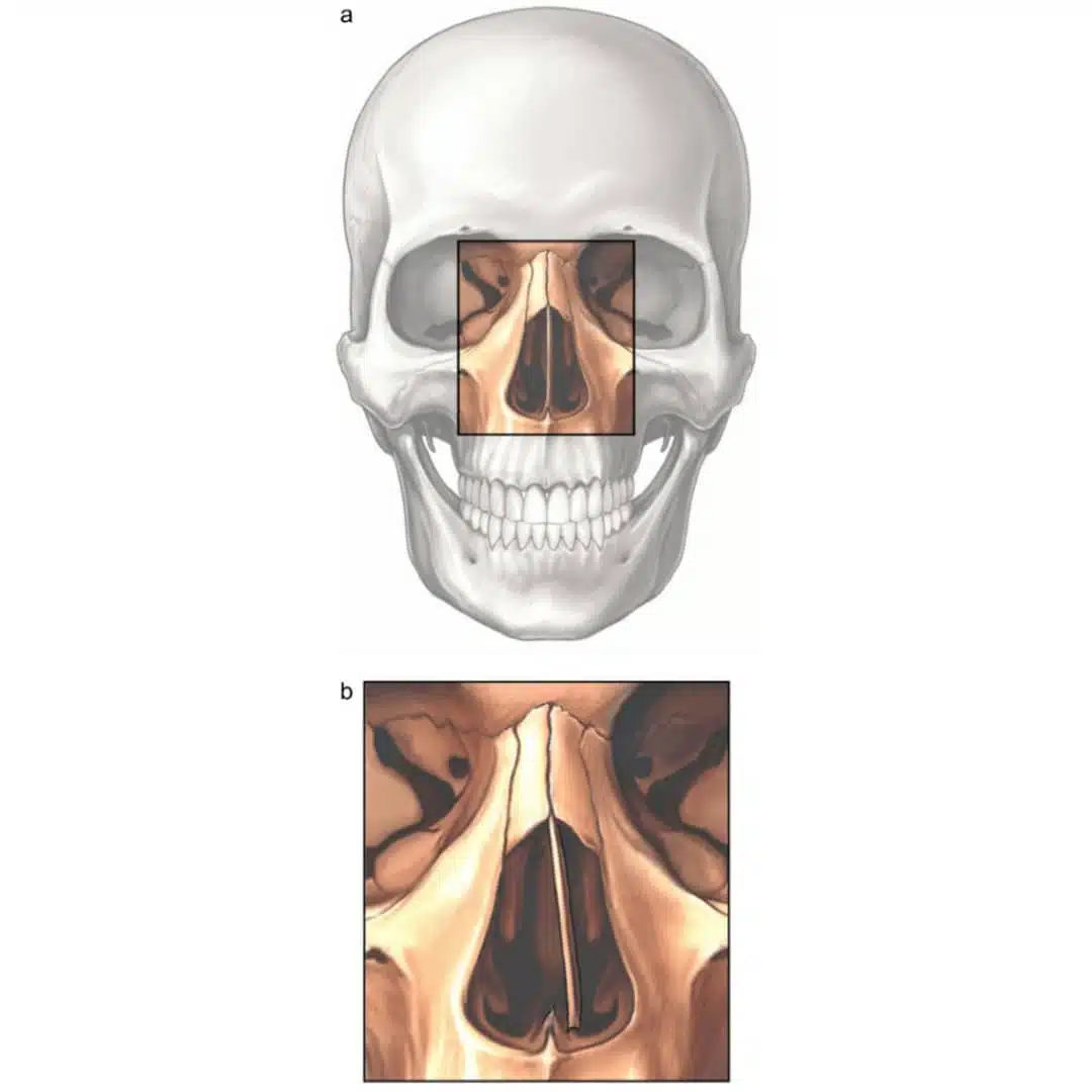 whatsapp-image-2019-01-06-at-15-26-061