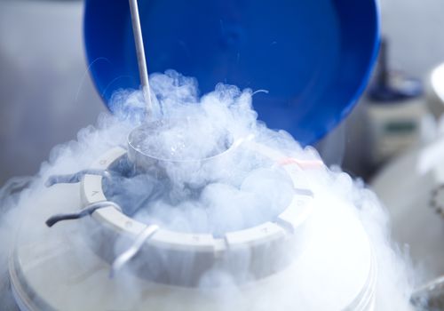 478187231-sciencephotolibrary-56a514a45f9b58b7d0dac63c