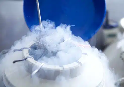 Who Needs Egg Donation?