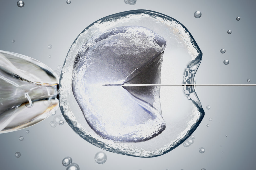 laboratory-microscopic-research-of-ivf-in-vitro-fertilization-3d-rendered-illustration