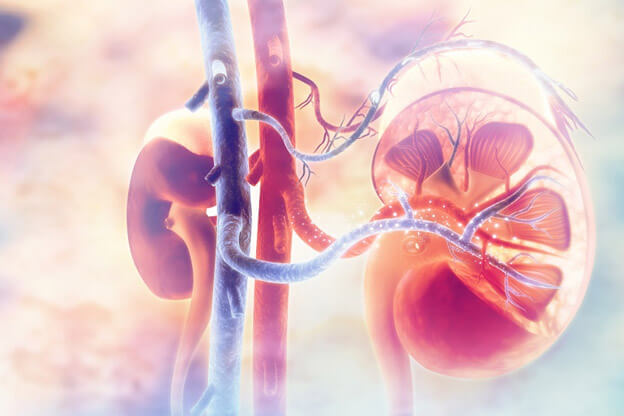 kidney-transplant-3