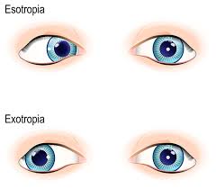 images-10