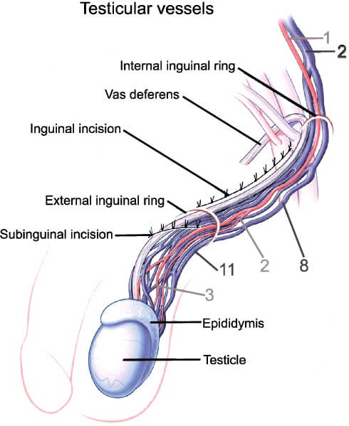 schematic2