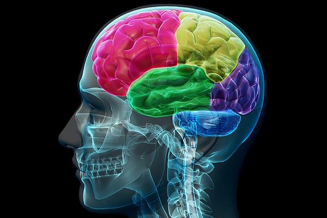 neurologist-dubai-brain-tumor-540x280-2223
