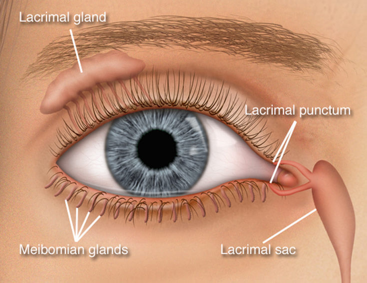 syst-lacrimal-dilatation-en