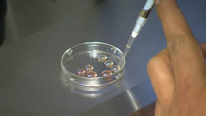 ivf-3