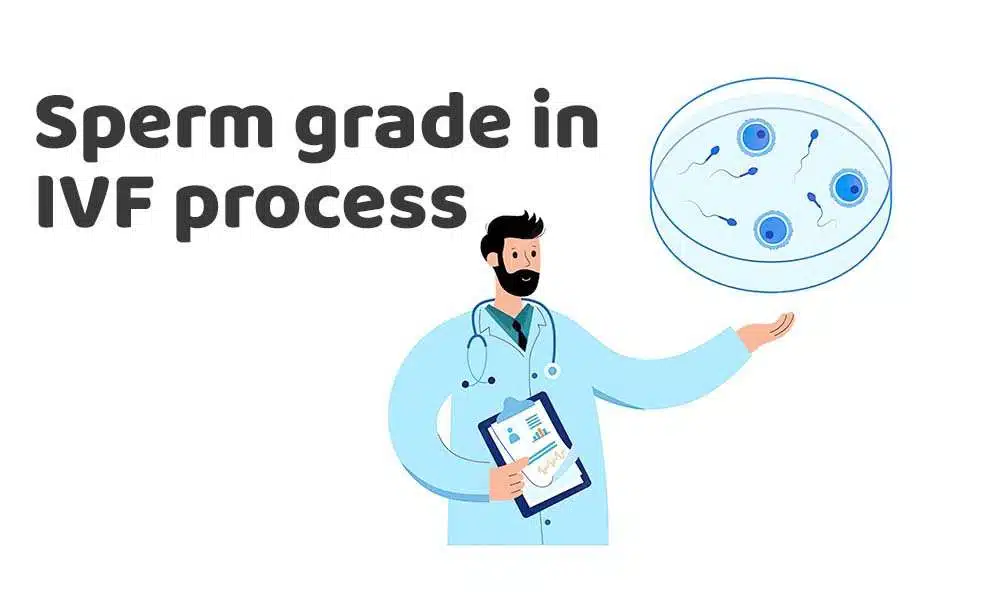 Sperm grade in IVF process