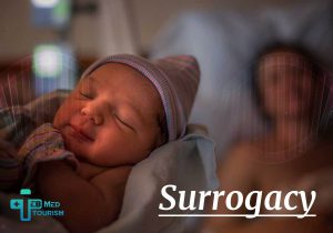 Does a baby get DNA from a surrogate mother