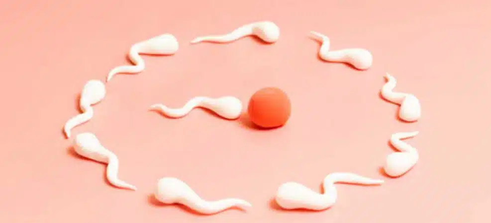 how-long-should-stay-in-iran-for-infertility-treatmentsivf02