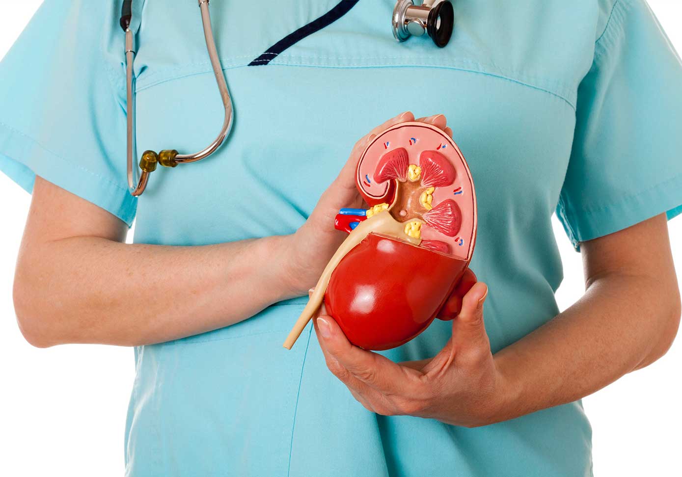 kidney-transplant11