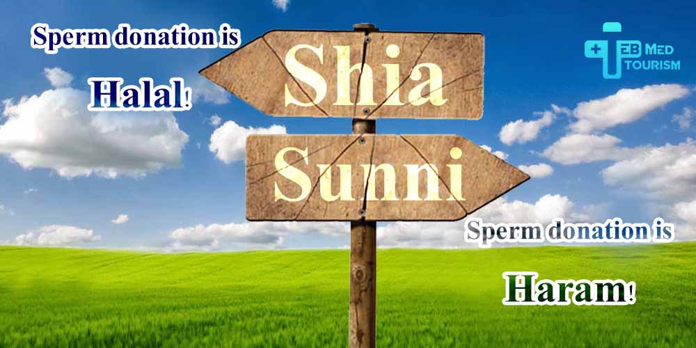 Sperm Donation in Islam Sunni and Shia